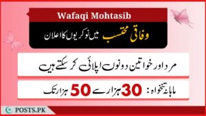 Wafaqi Mohtasib Jobs 202