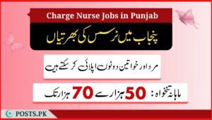 Charge Nurse Jobs in Punjab ad 1