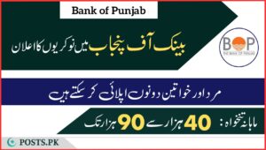 Bank of Punjab jobs ad 1