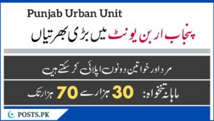 Punjab Urban Unit Jobs August 2024