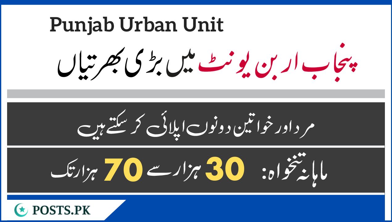 Punjab Urban Unit Jobs August 2024